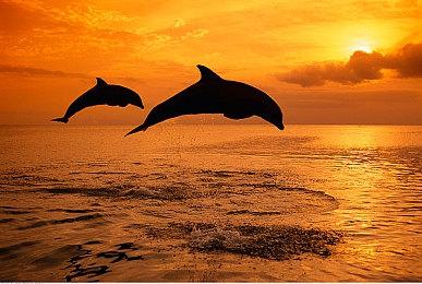 官方整活最致命！Capcom想让你在《生化危机》游戏里避暑