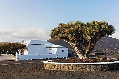 《龙珠：电光火石0》游戏模式展示＆支持分屏多人